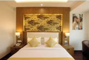 FabHotel Green Lotus Star 17 - Nr Yashobhoomi Convention Centre - Rum