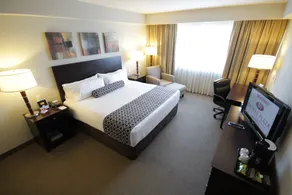 Crowne Plaza Leon by IHG - Chambre