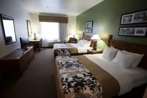 Sleep Inn & Suites Conference Center Eau Claire North - Chambre