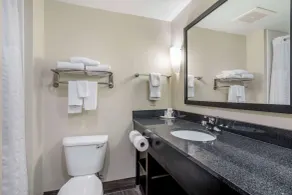 Comfort Suites Knoxville East - Chambre