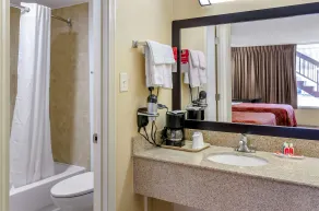 Econo Lodge Roanoke Civic Center - Salle de bain