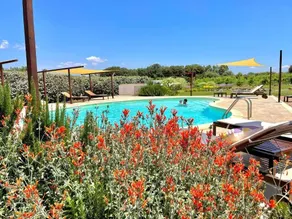 Is Cheas wine farm boutique hotel - Piscine