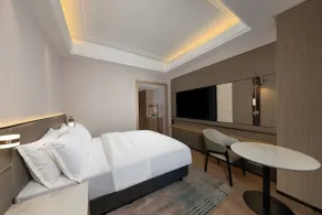 Holiday Inn Jiaxing Nanhu by IHG - Værelse