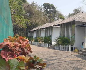 Natures Cove Resort - Room