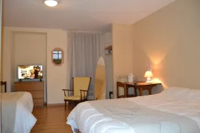 Hôtel du Lion Vert - Værelse