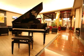 Hotel Diplomatic - Salon du hall