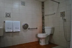 Hotel Villa Española - Rum
