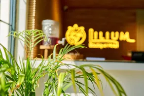 Lilium Boutique Hotel - Reception