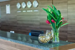 Cambuci Hotel - Recepción