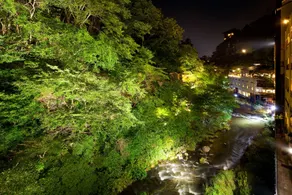 Aizu Higashiyama Onsen "Shosuke no Yado Takinoyu" since1880 - Vue de la chambre