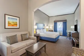 Holiday Inn Express & Suites Wharton by IHG - Rum