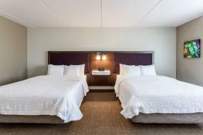 Hampton Inn & Suites Chicago-Libertyville - Chambre