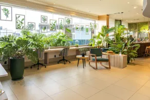 ibis Styles Curitiba Aeroporto - Reception