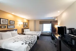 Sleep Inn & Suites Green Bay South - Rum