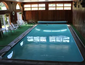 Austrian Haus Lodge - Pool