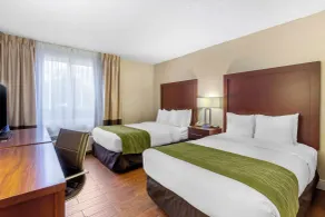 Comfort Inn St Petersburg North - Chambre