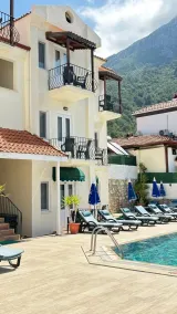 lemon tree - Piscine