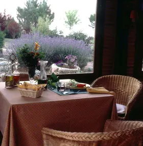 La Tejera de Fausto - Restaurant
