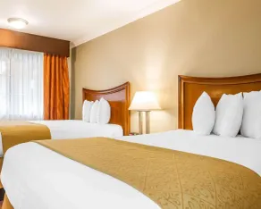 Quality Inn Sacramento Convention Center - Chambre