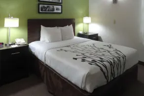 Sleep Inn & Suites Near Columbus - State University Area - Chambre