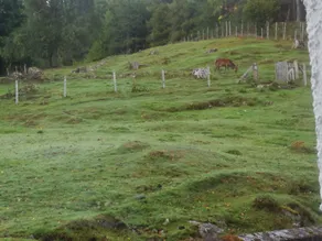 Highgarry Lodges - Udsigt fra værelset