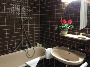 Teutonia Hotel - Bathroom