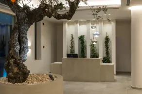 Tsamis Zante Suites - Resepsjon