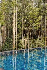 Samarya Chikkamagaluru - Pool