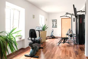 Palais-Hotel Erzherzog Johann - Salle de remise en forme