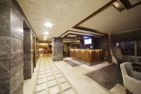 Delta Hotel Istanbul & Old City - Reception