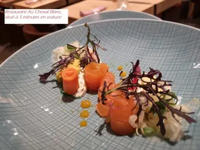 Hotel des Bains & Wellness - Ristorante