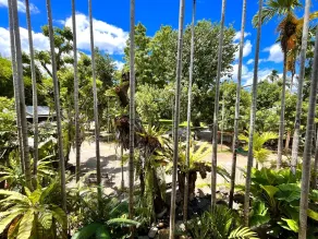 Rommai Greenpark - Vue de la chambre