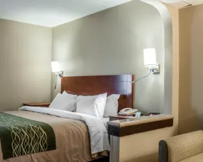 Quality Inn & Suites near St Louis and I-255 - Room