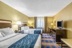 Comfort Inn Independence - Cleveland - Chambre