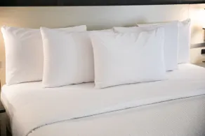 Days Inn & Suites by Wyndham Thunder Bay - Chambre