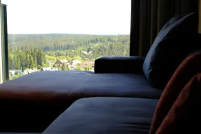 Fritz Lauterbad - Vue de la chambre