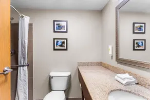 Comfort Inn & Suites Sikeston I-55 - Room