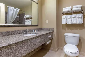 Comfort Inn & Suites High Point - Archdale - Room