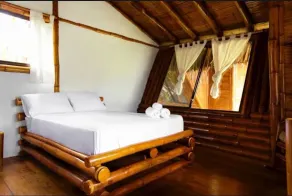 Palms Oasis Montanita - Chambre