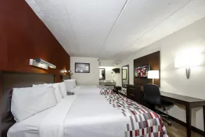 Red Roof Inn Tampa - Brandon - Room