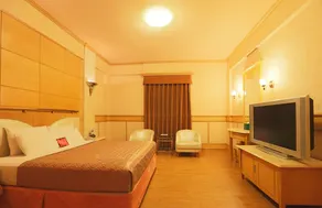 Ritz Motel - Room