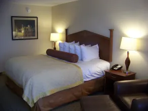 Norfolk Country Inn and Suites - Room