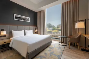 Park Inn by Radisson Jabalpur - Chambre