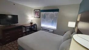 Best Western Joliet Inn & Suites - Chambre