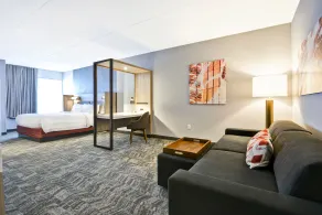 SpringHill Suites by Marriott Cincinnati Blue Ash - Chambre