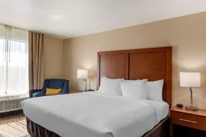 Comfort Inn & Suites Charlottesville Hollymead Town Center - Room