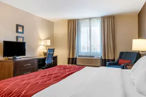 Comfort Inn Williamsport - Chambre