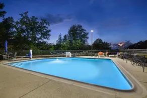 Hampton Inn & Suites By Hilton Decatur - Piscine
