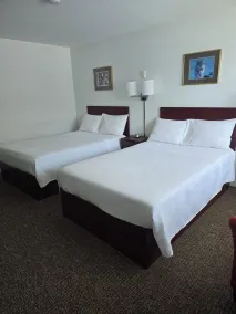 White Fang Motel - Room