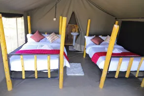 Emunyan Mara Camp - Room